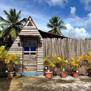 Coconut Apartamento La Verita